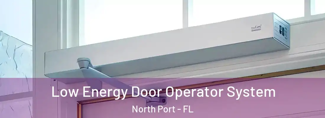 Low Energy Door Operator System North Port - FL